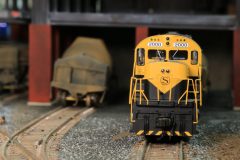 cropped-IMG_6809-scaled-1